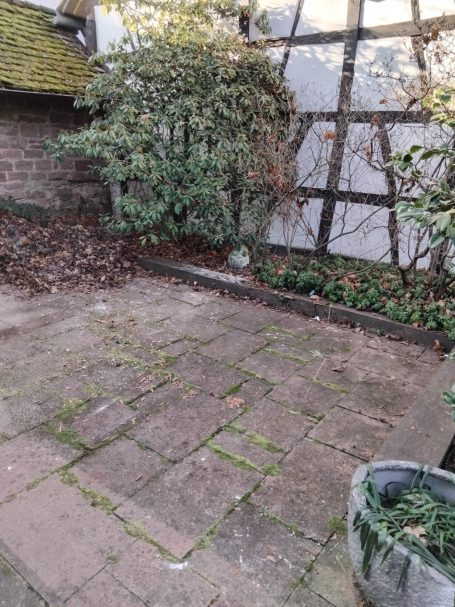 Entrümpelung/Entsorgung 