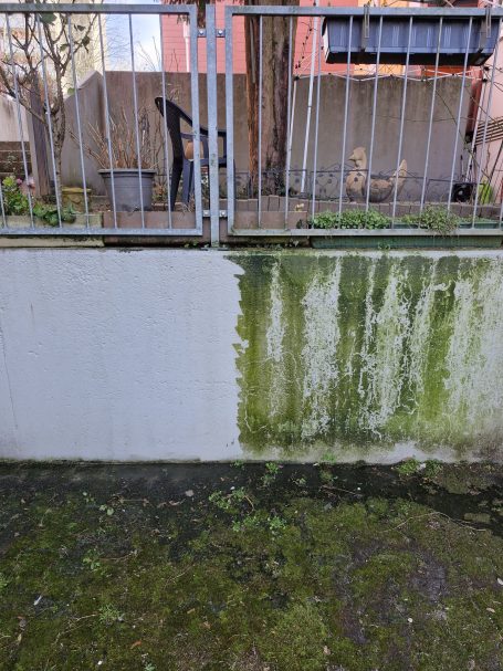 Fassadenreinigung vorher-nachher