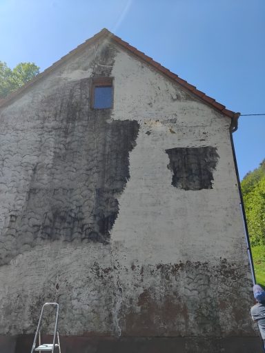 Fassadenreinigung Vorher-Nachher