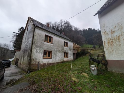 Fassadenreinigung Vorher-Nachher