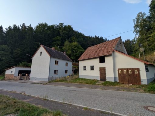 Fassadenreinigung Vorher-Nachher